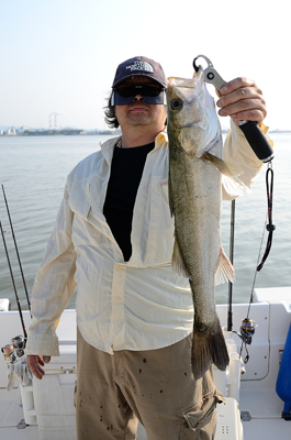 Marine T Design　マリンティ…