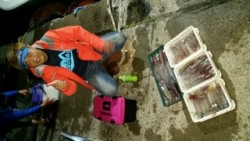 ディープ オーシャン 釣果