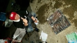 ディープ オーシャン 釣果