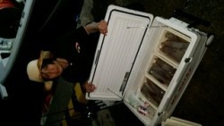 ディープ オーシャン 釣果