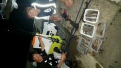 ディープ オーシャン 釣果