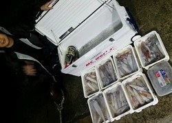 ディープ オーシャン 釣果