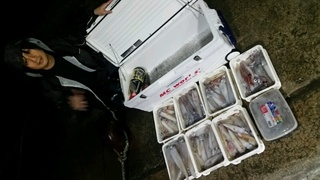 ディープ オーシャン 釣果