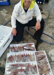 ディープ オーシャン 釣果