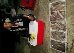 ディープ オーシャン 釣果