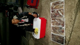 ディープ オーシャン 釣果