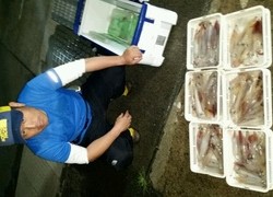 ディープ オーシャン 釣果