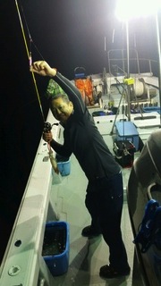 ディープ オーシャン 釣果