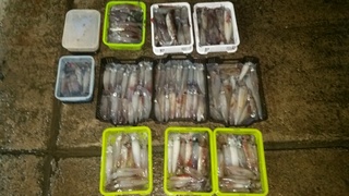 ディープ オーシャン 釣果