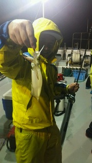 ディープ オーシャン 釣果