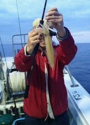 ディープ オーシャン 釣果