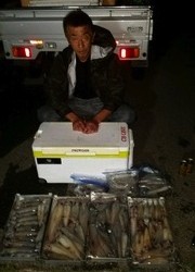 ディープ オーシャン 釣果