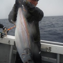 オーシャンパイオニア 釣果