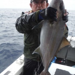 オーシャンパイオニア 釣果