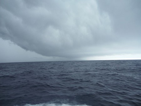 オーシャンパイオニア 釣果