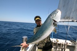 オーシャンズ 釣果