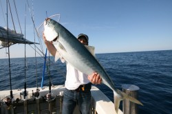 オーシャンズ 釣果