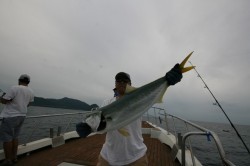 オーシャンズ 釣果