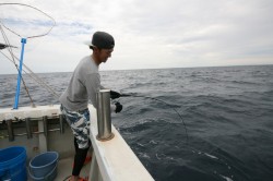 オーシャンズ 釣果