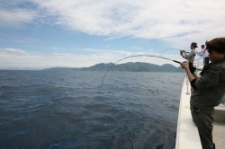 オーシャンズ 釣果