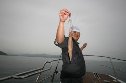 オーシャンズ 釣果