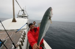 オーシャンズ 釣果