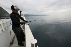 オーシャンズ 釣果