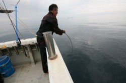 オーシャンズ 釣果