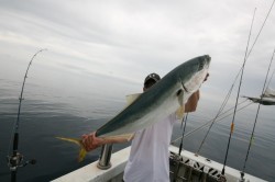 オーシャンズ 釣果