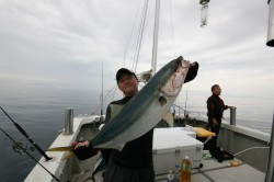 オーシャンズ 釣果