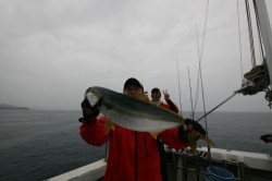 オーシャンズ 釣果