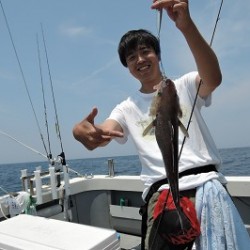 ワープゾーン 釣果