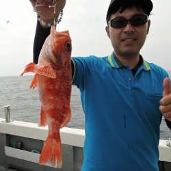 ワープゾーン 釣果