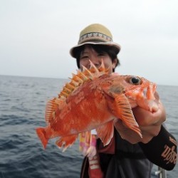 ワープゾーン 釣果