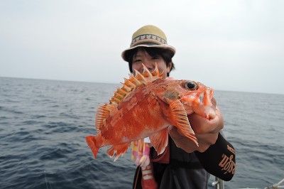 ワープゾーン 釣果