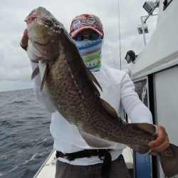 ワープゾーン 釣果