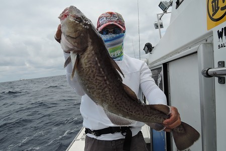 ワープゾーン 釣果