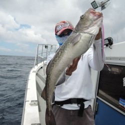 ワープゾーン 釣果
