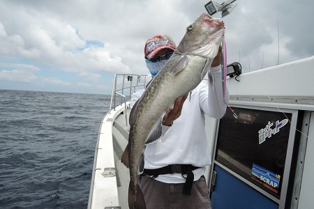 ワープゾーン 釣果