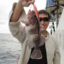 ワープゾーン 釣果