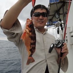 ワープゾーン 釣果