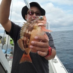 ワープゾーン 釣果