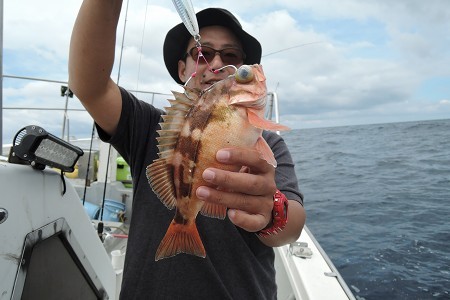 ワープゾーン 釣果