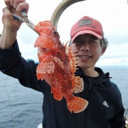 ワープゾーン 釣果