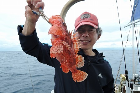 ワープゾーン 釣果