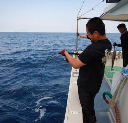 なぎさ丸 釣果