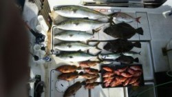 さぶろう丸 釣果