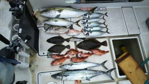 さぶろう丸 釣果