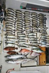 さぶろう丸 釣果
