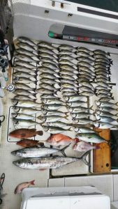 さぶろう丸 釣果